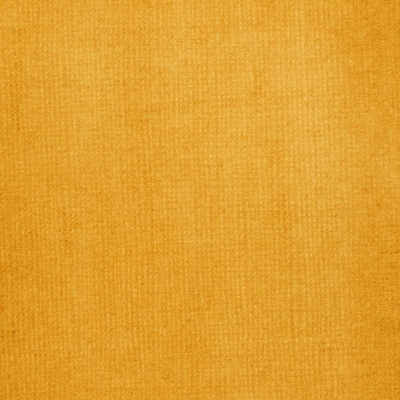 Liquitex Transparent Raw Sienna - 332
