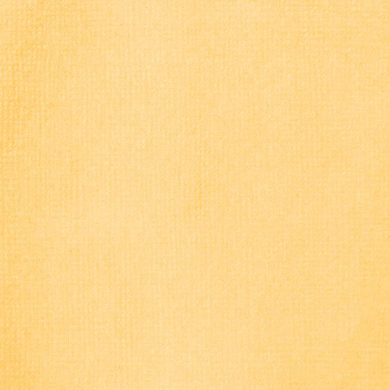 Liquitex Yellow Oxide - 416