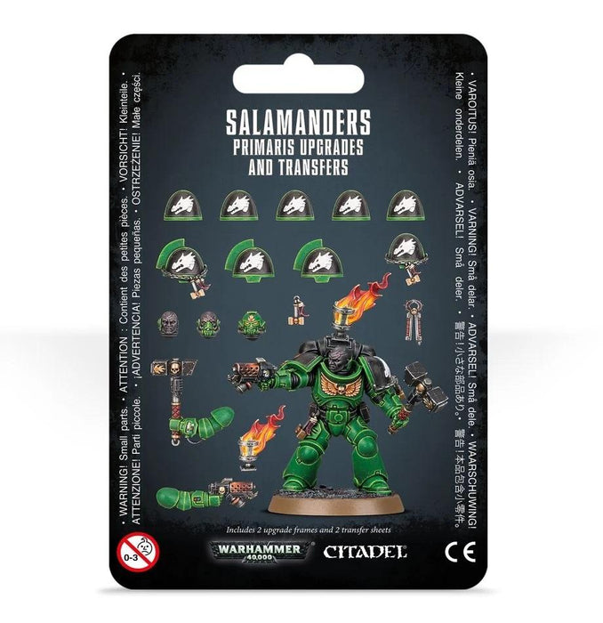 Primaris Upgrades and Transfers: Salamanders