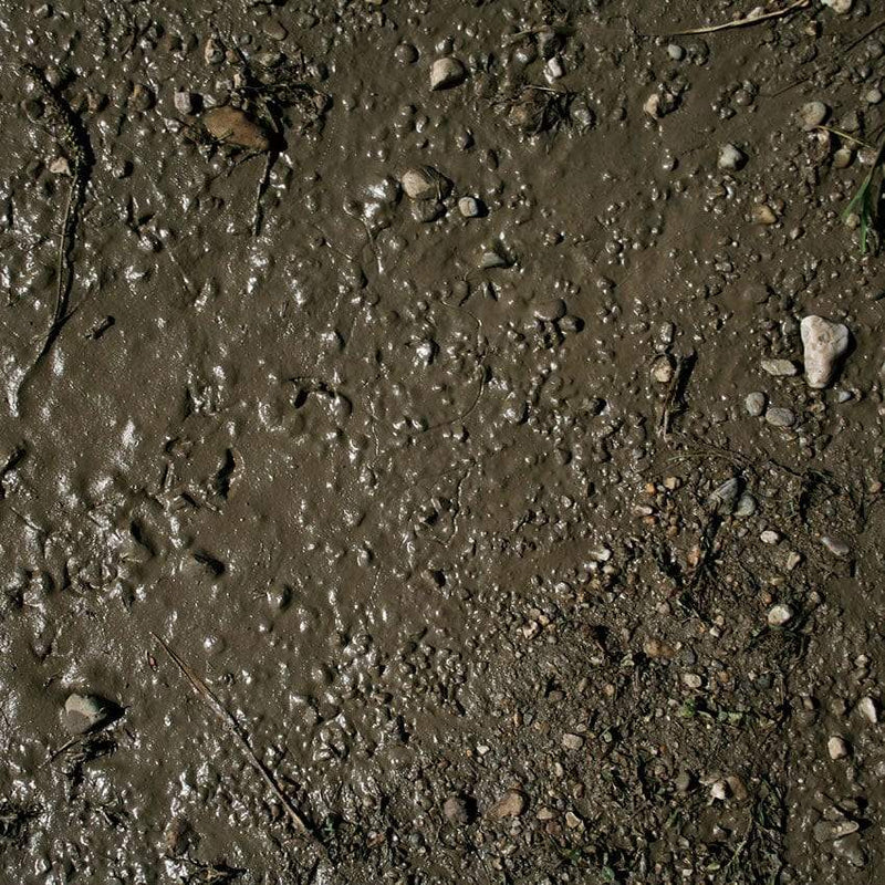 AK Terrains Wet Ground - 250ml
