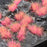 GamersGrass Static Grass Tufts - Alien Pink 6mm Wild