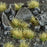 GamersGrass Static Grass Tufts - Autumn 5mm Wild