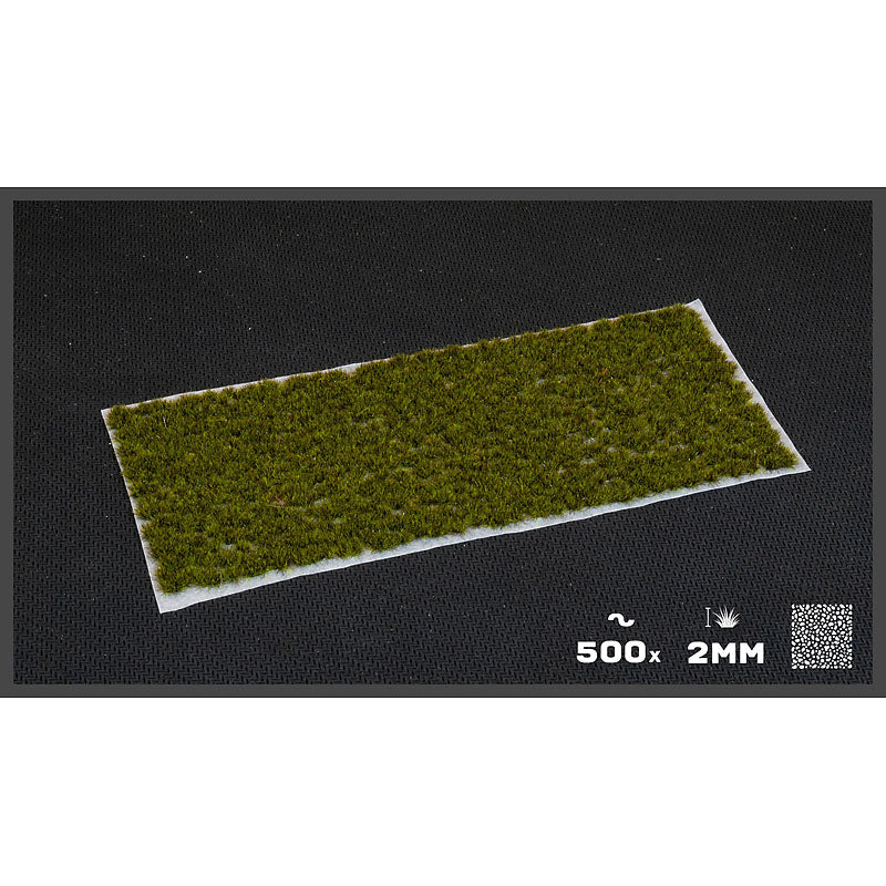 GamersGrass Static Grass Tufts - Tiny Dark Moss 2mm - Tiny