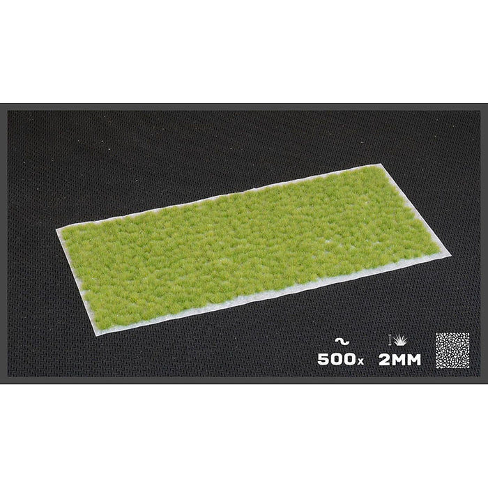GamersGrass Static Grass Tufts - Tiny Light Green 2mm - Tiny