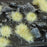 GamersGrass Static Grass Tufts - Winter 5mm Small