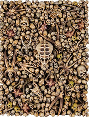 Citadel Skulls